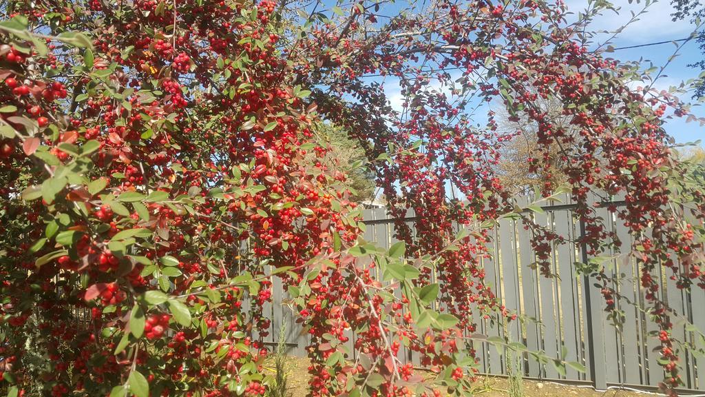 Upper House Guesthouse Clarens Luaran gambar